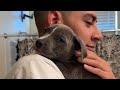 Cute puppy vlog