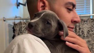 Cute Puppy Vlog