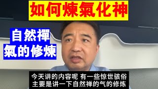 翟山鹰：如何煉氣化神丨自然禪氣的修煉
