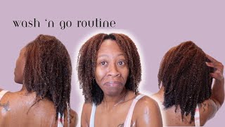 CHILL WASH DAY &amp; MUST SEE WASH AND GO!!!! |Heyknottygirl Hair