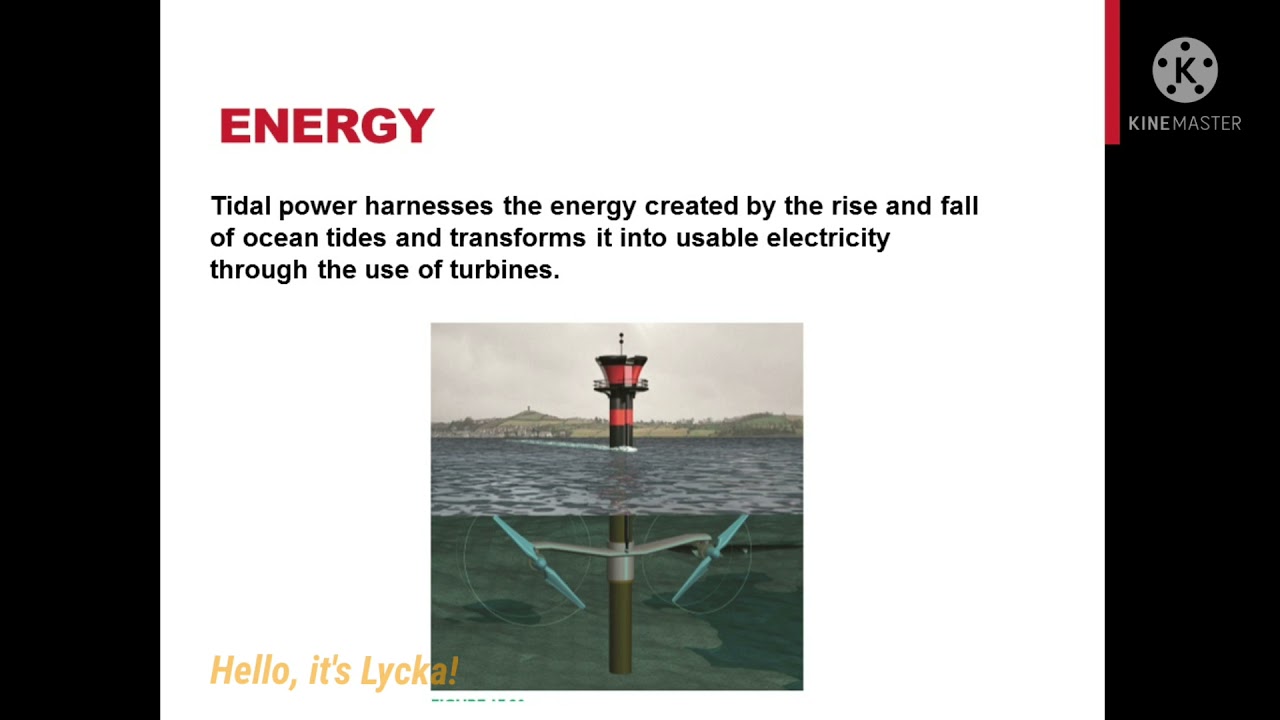Marine Ecology - Resources Or Food in The Sea | G6 Part 1