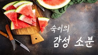 미리 만나는 여름🍉│김숙의 감성 소분