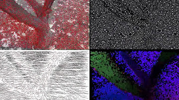 Real-time optical flow and semi dense point tracking on GPU
