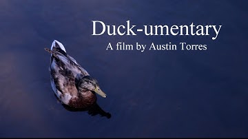 Duck-umentary