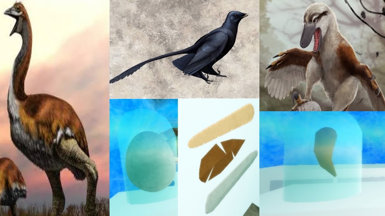 Predicting summer of fossils birds! - Feather Family