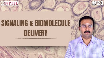 #23 Signaling & Biomolecule Delivery in Tissue Engineering | Introduction to Tissue Engineering