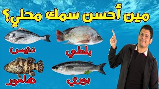 أسرار أحسن سمك محلي رخيص