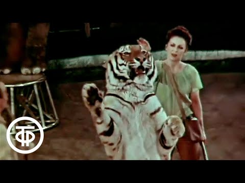 Video: Mstislav Zapashny. Russian circus artist-tamer. Biography