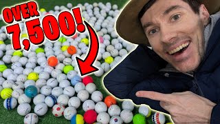 Finding the Rare Lost Golf Ball JACKPOT in the Woods! 👀