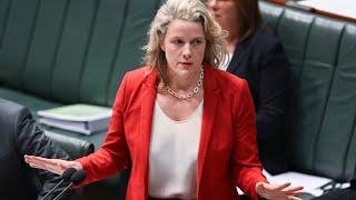 Immigration and Home Affairs Ministers ‘not across the detail’ of their portfolios
