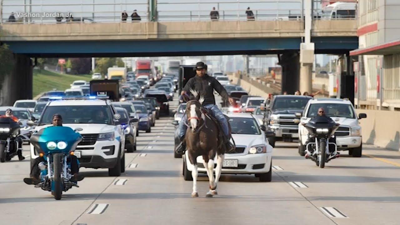 Dreadhead Cowboy rides horse on Dan Ryan Expressway - YouTube
