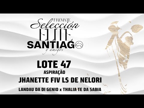 Lote 47   Jhanete FIV LS de Nelori