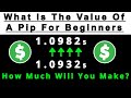 Forex: How To Calculate The Value Of A Pip (Beginners Must Learn This First)