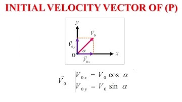 Chapter 8 Newtons 2nd Law - Free Fall in Two Dimensions (Projectile Motion)