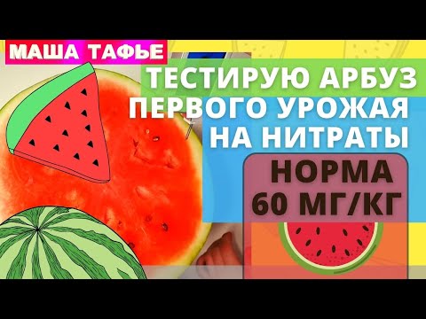 Тестирую арбуз первого урожая из ВкусВилл на нитраты. Итоги неутешительные