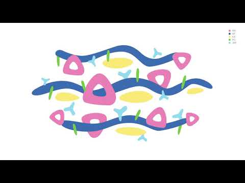 Boca Video