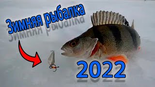 Зимняя рыбалка 2022 Рыбалка зимой на маропедку Окунь на маропедку сделанную своими руками