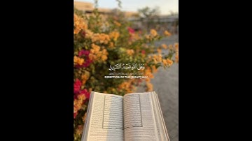 #القرآن_الكريم #quran 💛🌼 #خالد_الجليل #سورة_النحل #راحة_نفسية #حالات_واتس #قورئانی_پیرۆز #قران_كريم