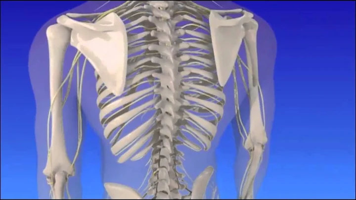 Epidural Injections- Upper Back (Thoracic)