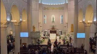 O FILII ET FILIAE - Lời Việt: Duy Tân