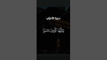 #لايك #اكسبلور #قرآن #راحة_نفسية #سورة الاحزاب#محمد_صديق_المنشاوي