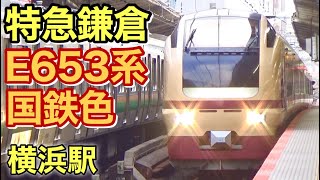 特急『鎌倉』E653系 (国鉄色) 横浜駅 2024年3月31日