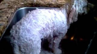 HTC HD2 Video Sample #1