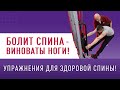 БОЛИТ СПИНА – ВИНОВАТЫ НОГИ! Упражнения для здоровой спины!