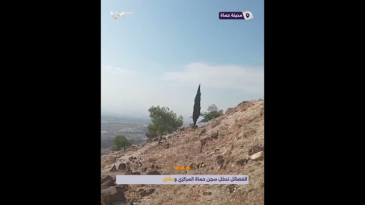فصائل المعارضة تدخل سجن حماة المركزي وتطلق سراح مئات المعتقلين
