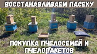 Восстанавливаем пасеку! Покупка пчелосемей и пчелопакетов.