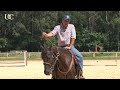 TV UC - Rédea de pescoço para seu cavalo de cavalgada