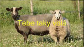 JIŘÍ ZMOŽEK - Volá Ježíš ovce ztracené chords