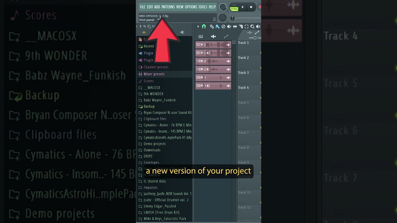 Why 2 versions of same project on FL Studio ? 🤔 