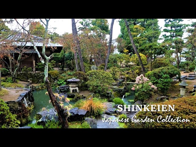 Hidden Japanese garden in Kurashiki | Beautiful water flow | SHINKEIEN