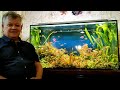Небольшое интервью по содержанию аквариумов  21 07 23