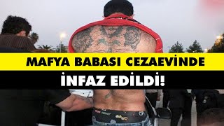 İRANLI MAFYA BABASI VAHİD MORADİ Resimi