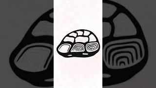 Turtle Shell Drawing Timelapse #shorts