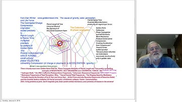 Fractal Heart of Physics- and the Stephen Hawkings Mistake