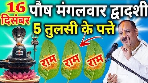16 दिसंबर पौष मंगलवार द्वादशी तिथि के दिन 5 तुलसी के पत्ते वाला उपाय जरुर करे || Pradeep Ji Mishra 