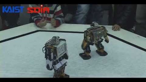 SoC Robot War 2011