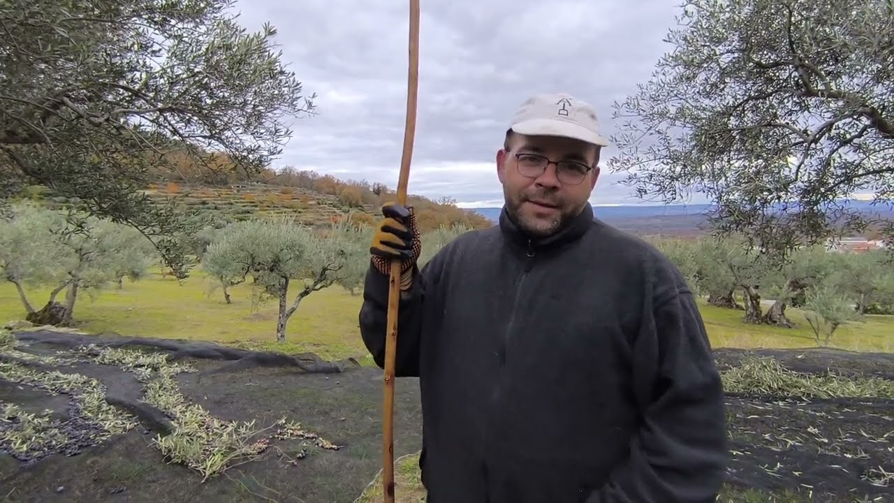 BUENA TÉCNICA con VARA de 60cm²