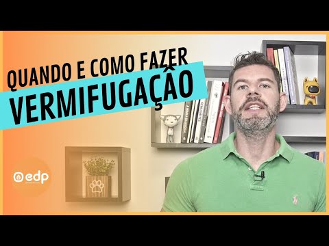 Vídeo: Melhores alimentos para cães para diarréia