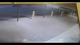 City Gear Break-in