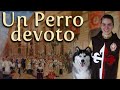 Un perro "devoto" - Para Todas las Edades