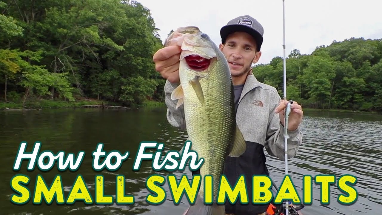 Fishing Soft Plastic Swimbaits To Mimic Baitfish