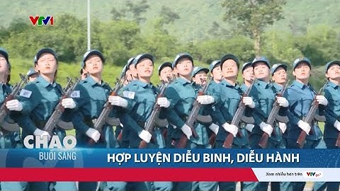 Không khí hợp luyện diễu binh, diễu hành Lễ kỷ niệm 80 năm Cách mạng tháng Tám và Quốc khánh 2/9