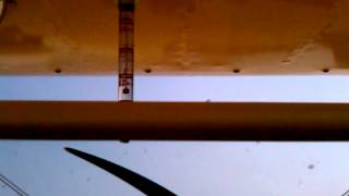 Stearman 42S! Barrel rolls, hammerheads, spirals!