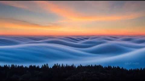 Adult Swim Bump ś ҉u͞ n̕ ͏d ́i a͢ ͝l̷