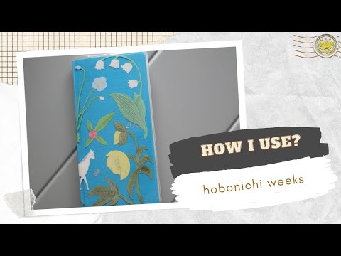 How I'm using the Hobonichi Weeks as my Wellness Lifebook | boots & berry