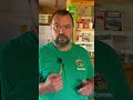 Niedźwiedzie w Bieszczadach